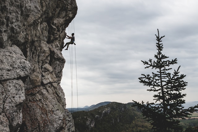 Federated Learning Security: Training Together, Staying Safe