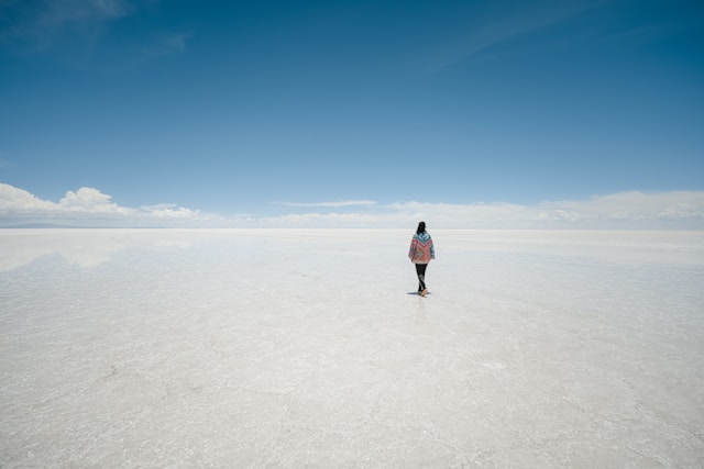 The Security of AI: Detecting and Mitigating Model Inversion Attacks